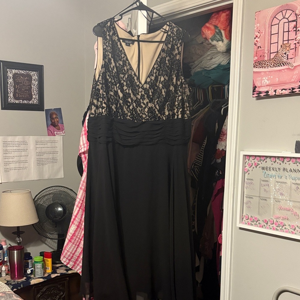 Dress Barn Black and Cream Lace Prom Dress